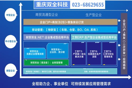 彭水地區(qū)生產(chǎn)型企業(yè)管理制度優(yōu)化 基于重慶管家婆軟件的二次開(kāi)發(fā)實(shí)踐